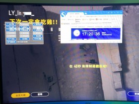 绝地求生辅助-不死鸟辅助