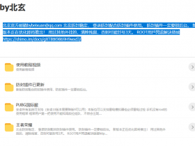 王者荣耀辅助-北玄辅助