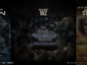 COD16卡盟-命运辅助