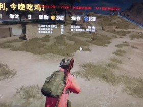 绝地求生辅助-大主宰辅助