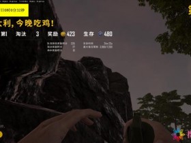 绝地求生卡盟-河妖辅助