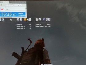 求生助手绝地-男神辅助