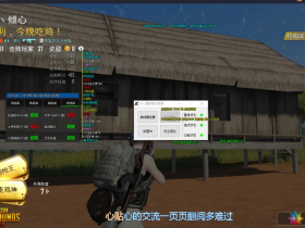 和平精英辅助功能的稳定性高不高