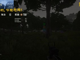 绝地求生辅助大世界