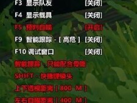 未来之役辅助-路飞